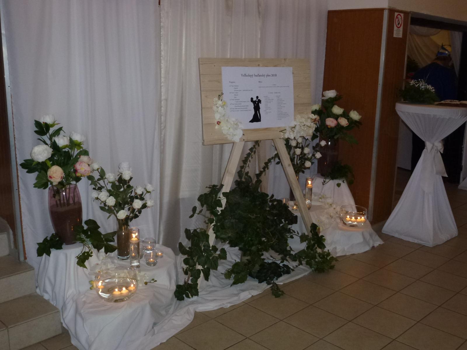 Fotogaléria Veľkolepý baďanský ples 2018 (165) Veľkolepý baďanský ples 2018